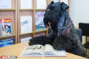 В Екатеринбурге собаку пустили в библиотеку, чтобы она послушала, как читают дети