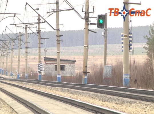 Екатеринбургские зоозащитники выявили вопиющие факты жестокого обращения с животными на железнодорожной станции «Арамиль»