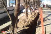 Жители Екатеринбурга боятся, что рабочие могут погубить Аллею любви
