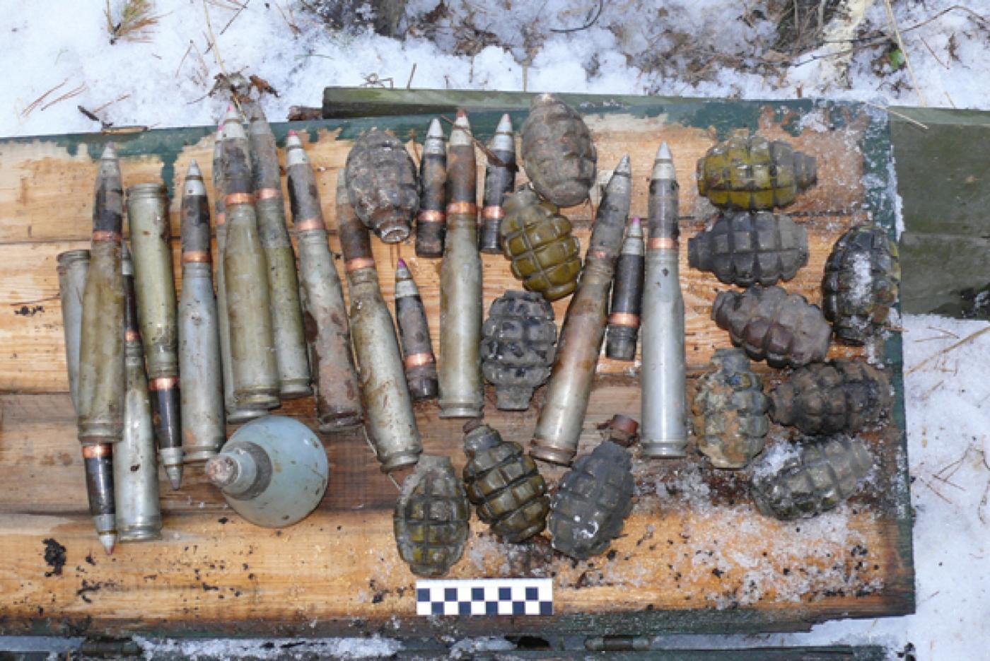 На полигоне под Верхней Пышмой нашли гексоген и гранаты - Фото 1