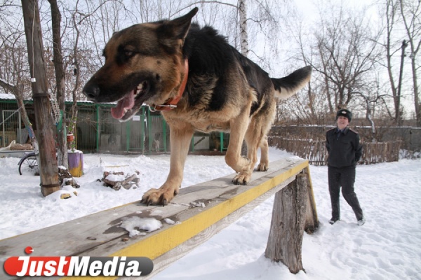 Жительница Каменска-Уральского заявила о грабеже, чтобы присвоить себе рабочий мобильник