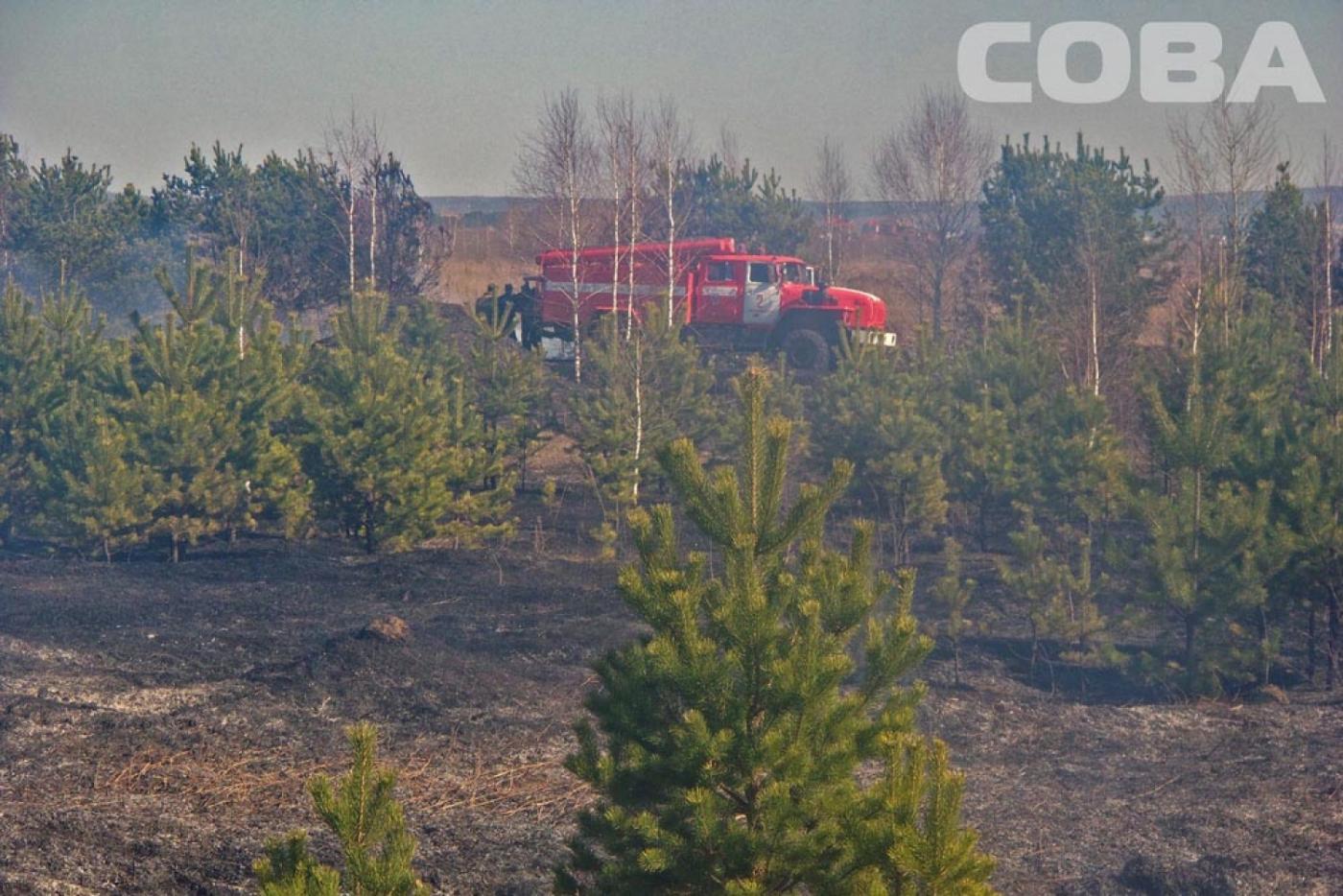 За Академическим горит три гектара полей - Фото 1