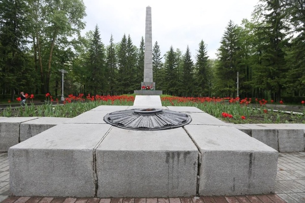 «Настала другая эпоха». Парк Коммунаров избавляется от больных деревьев и разрушенных дорожек