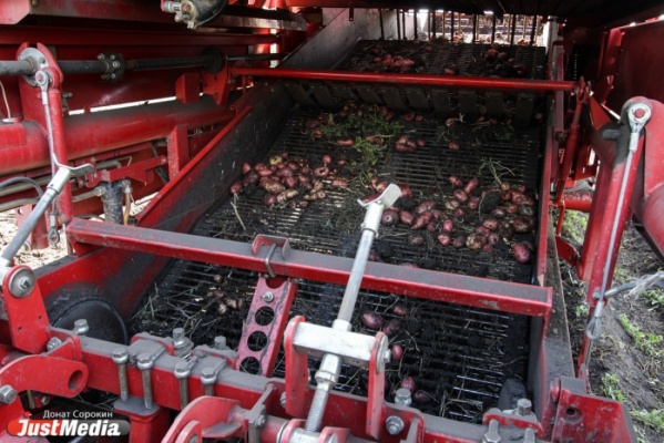 Посевная кампания в Свердловской области близка к завершению 