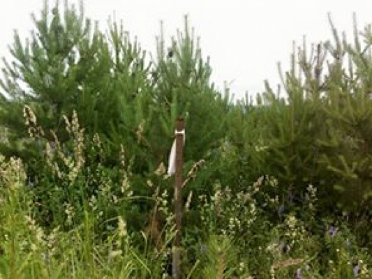 Ни воды, ни электричества. Свердловское правительство предлагает многодетным семьям жить в чистом поле