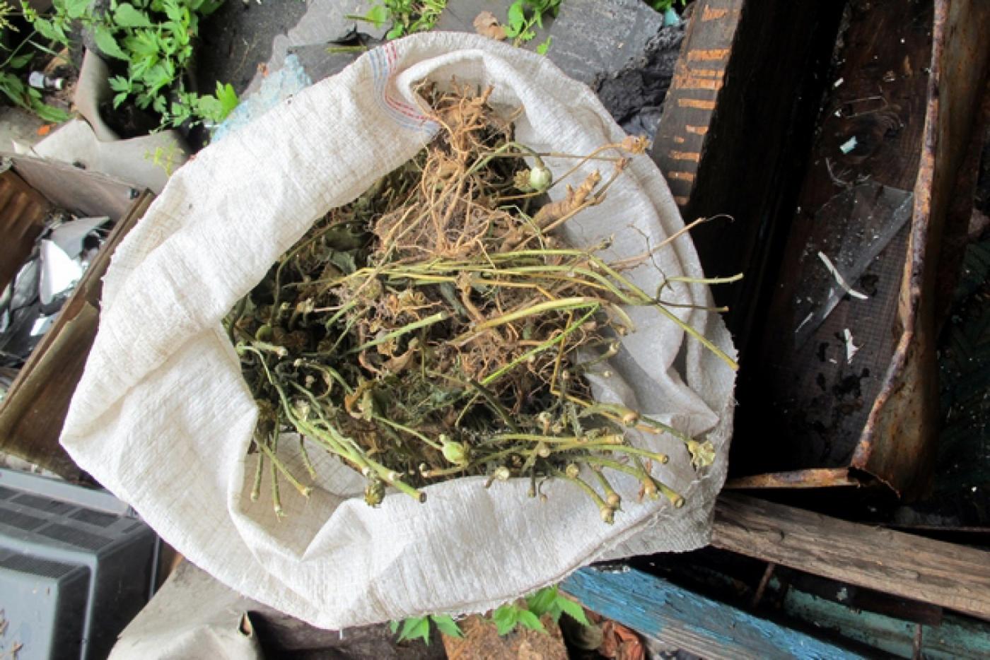 Свердловские наркополицейские изъяли у свердловчанина килограмм маковой соломы - Фото 1