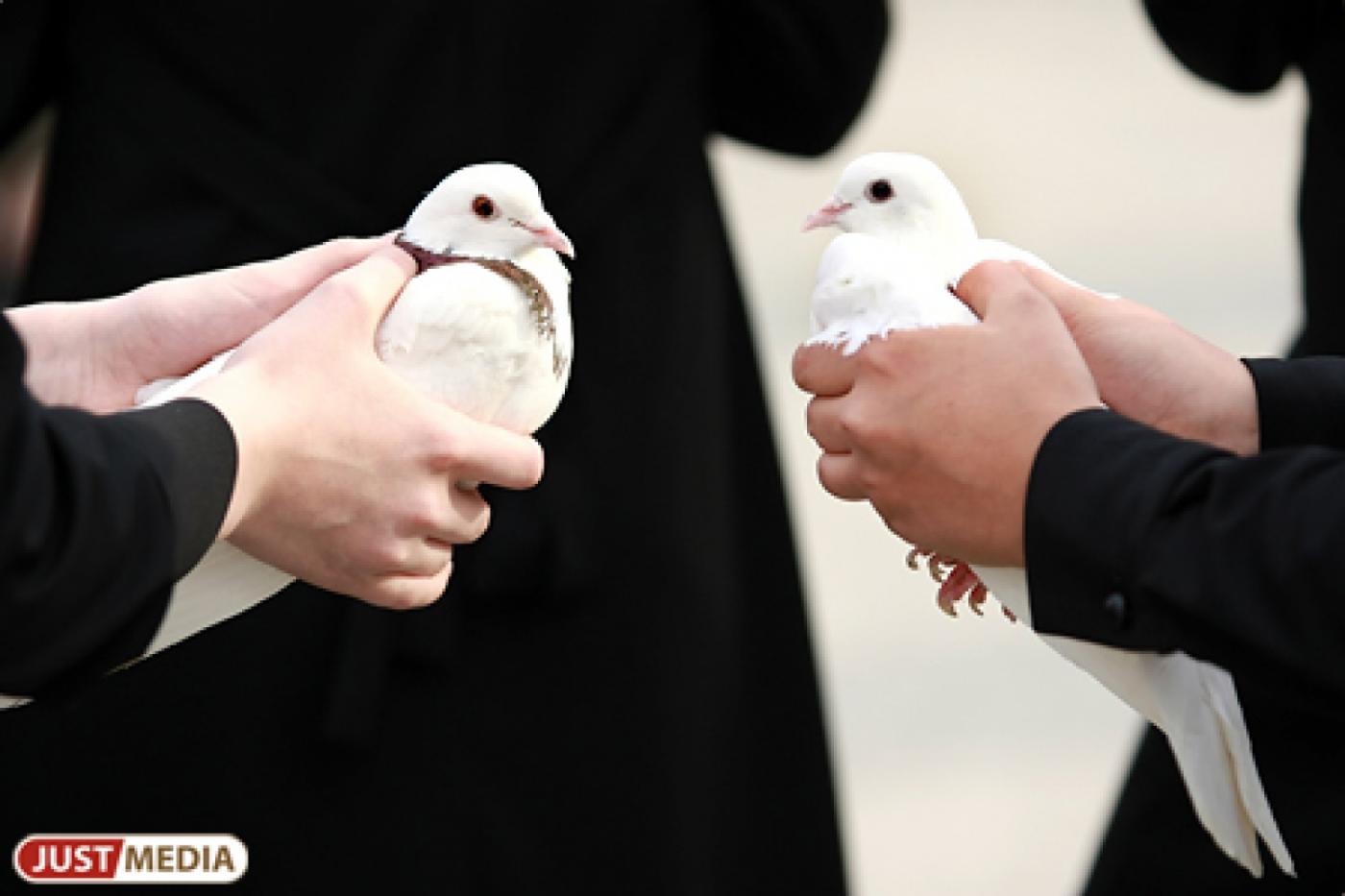 Свердловский Россельхознадзор запретил ввоз птицы из Великобритании - Фото 1