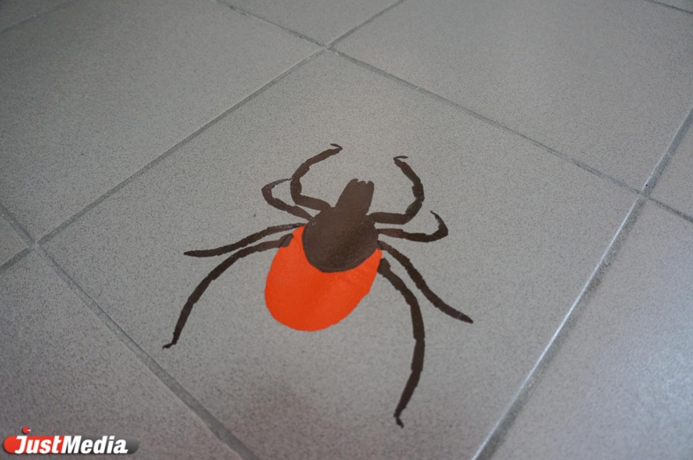 С начала сезона от укусов клещей пострадали 29 тысяч свердловчан - Фото 1