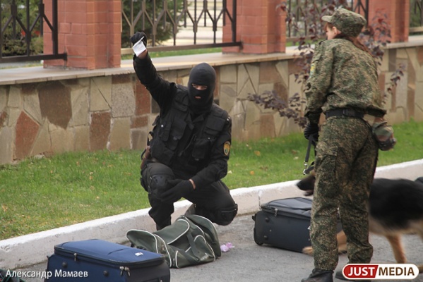 В Екатеринбурге в машине и квартире 19-летней и девушки и двух ее друзей найдено около трех килограммов «синтетики»