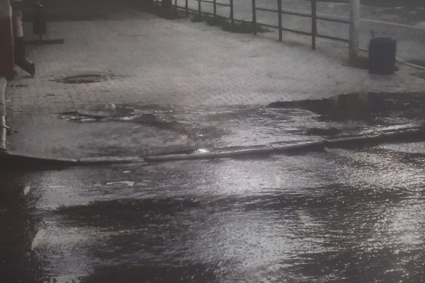 Куриная тушка, бутылки и тряпье стали причиной разлива воды из люка на Мичурина