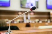 Свердловские общественники и предприниматели просят депутатов пролоббировать закон о «налоговых каникулах»