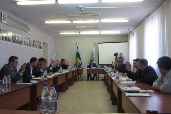 Депутаты Заречного отменили выборы мэра, наплевав на мнение избирателей - Фото 1