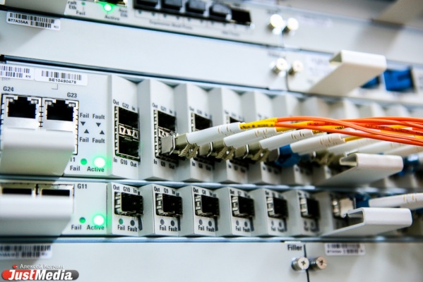 «Оптических» домохозяйств на Среднем Урале стало на 35 000 больше - Фото 1