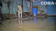  В Екатеринбурге частный дом на Южной залило талой водой. Хозяйка винит в этом застройщика близлежащей высотки