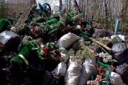 Под Первоуральском экологи завалили памятный камень на кладбище красноармейцев мусором