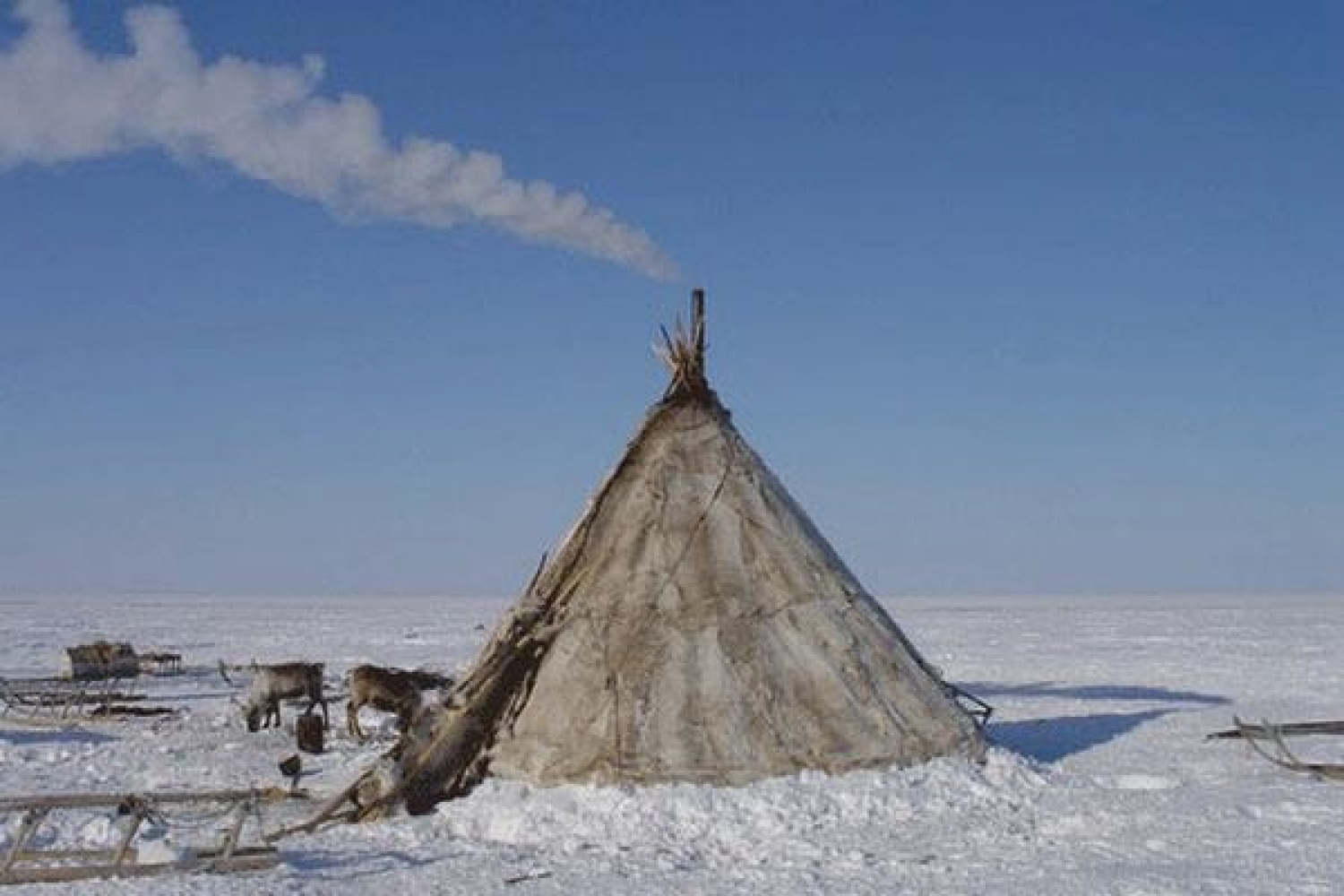 Жилище народов крайнего севера