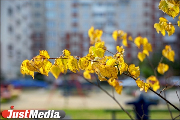 Жители Екатеринбурга придумают название для нового парка - Фото 1