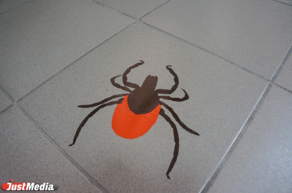 В областной больнице №1 мужчина умер от клещевого энцефалита - Фото 1