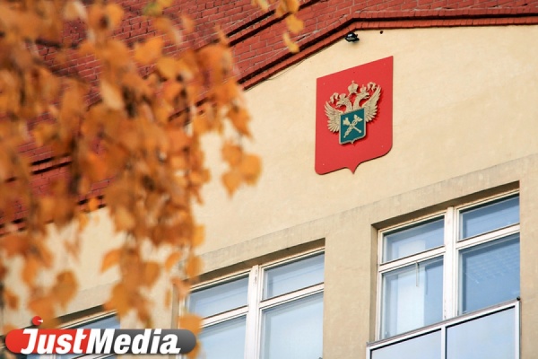 Четырех кенгуру развернули в Кольцово из-за отсутствия документов - Фото 1