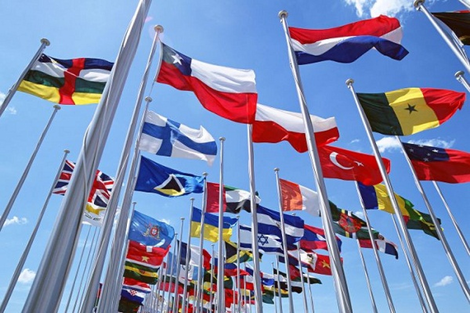 Картинки флагов. Много разных флагов. Флаги стран мира. Флаг картинка. Фото флага.