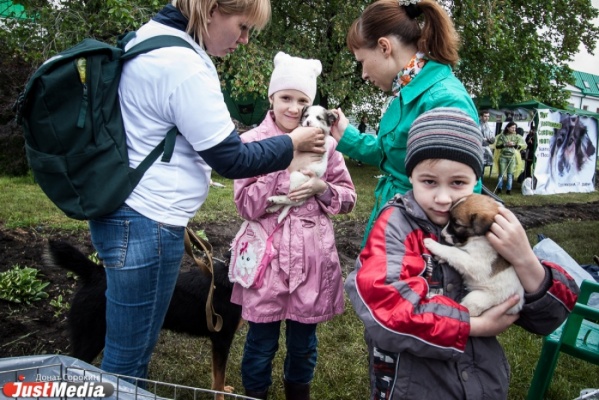 Молодые мамы Екатеринбурга поделились с властями города идеями благоустройства нового парка - Фото 1