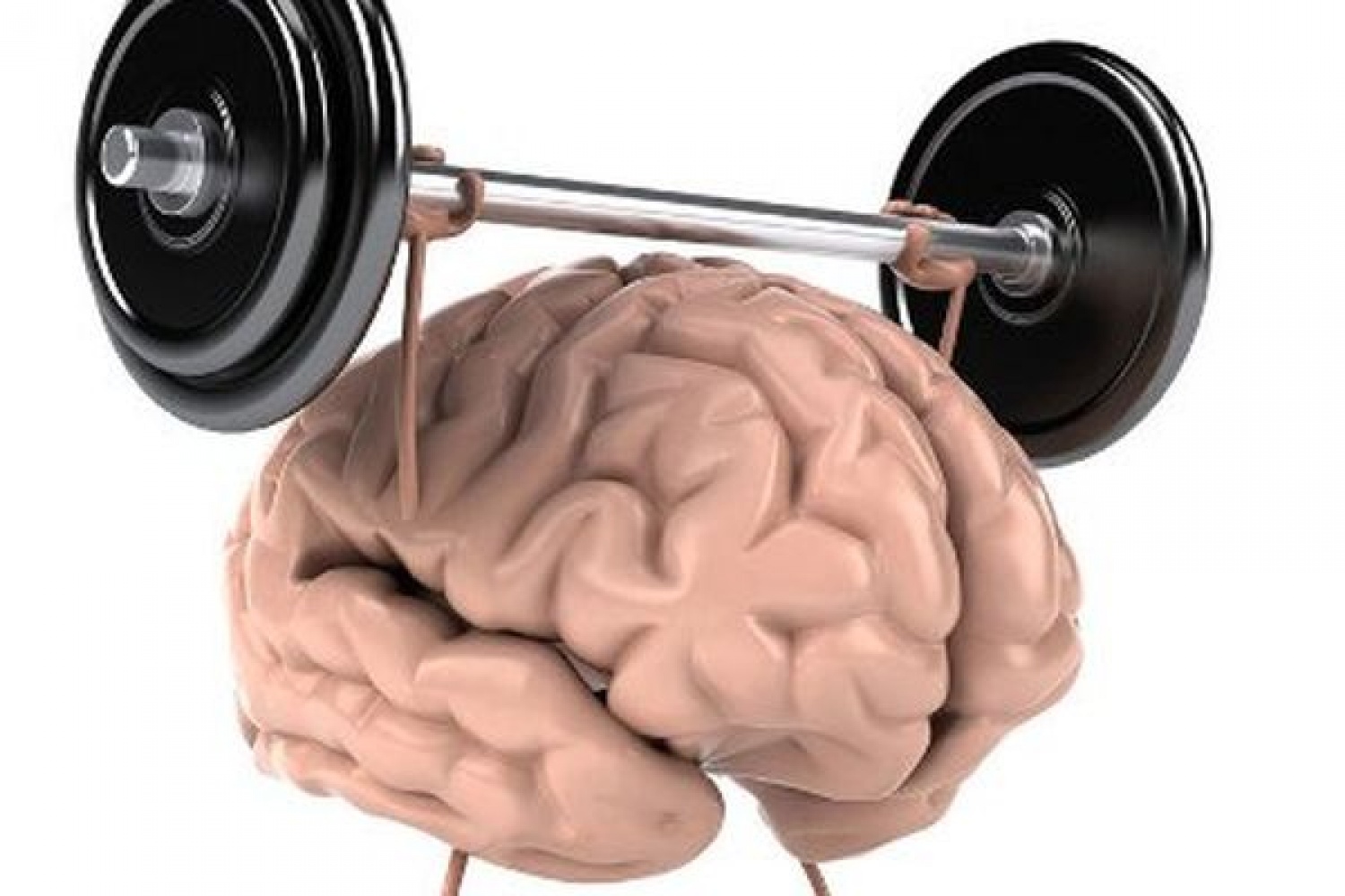 Повышение активности мозга. Умственная нагрузка. Умственная и физическая работоспособность. Тренажер для мозга.