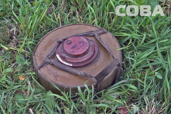 На крыше своей бани екатеринбуржец нашел мину - Фото 1