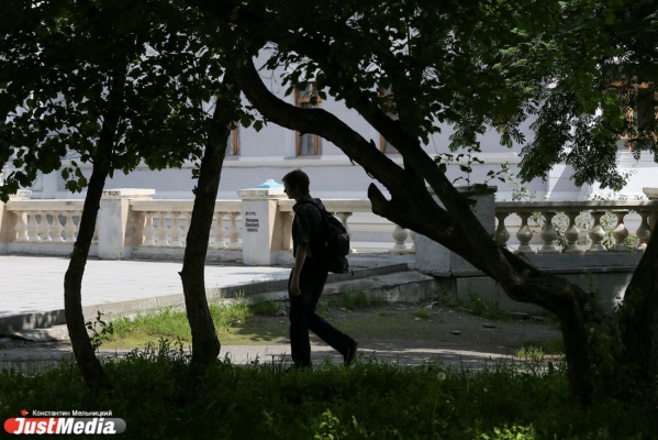 В квартале «Екатеринбург-Сити» появится Уральская аллея садоводства