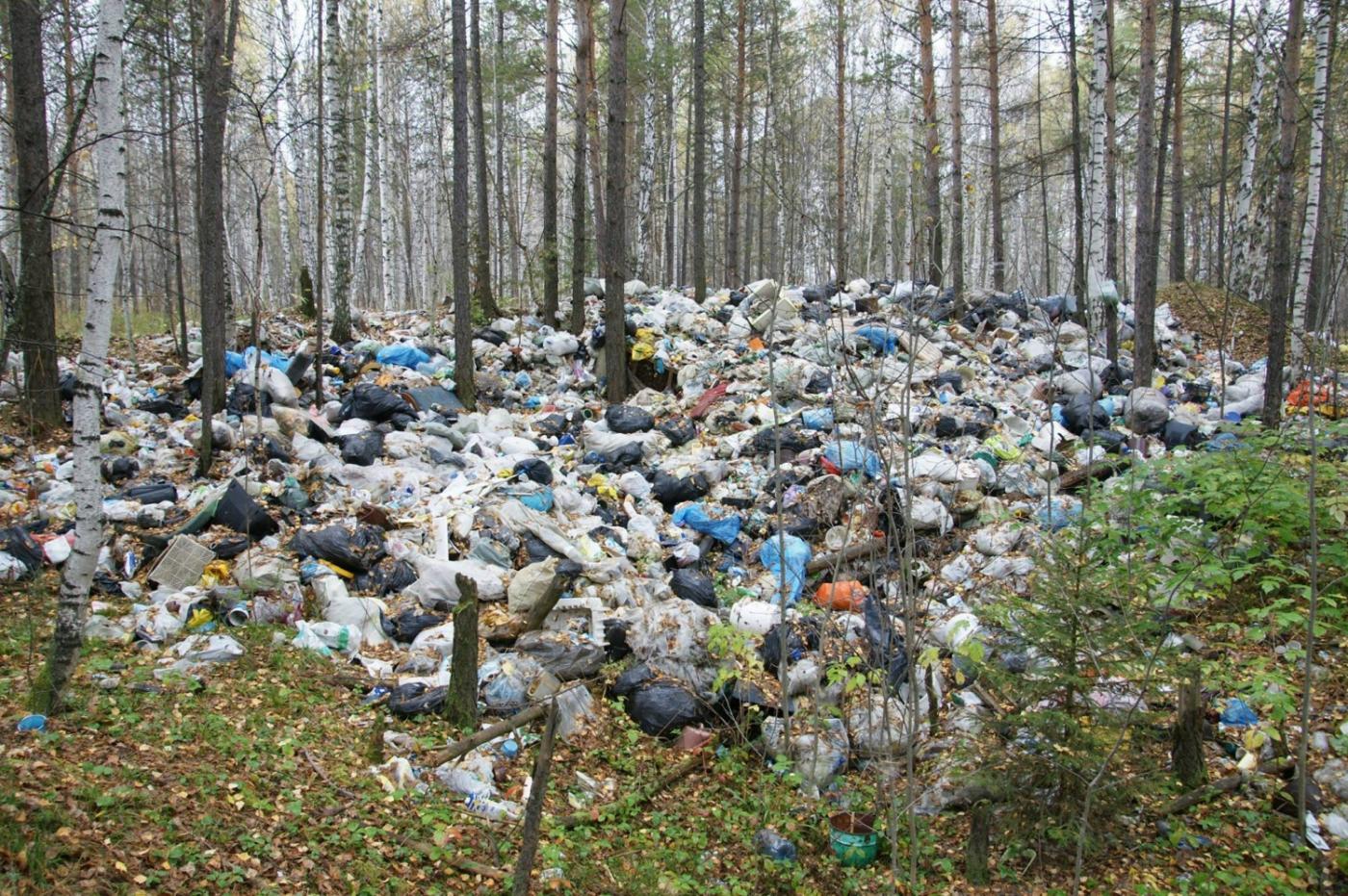 Первоуральск утопает в свалках. Свердловский депутат призывает на помощь прокуратуру - Фото 1