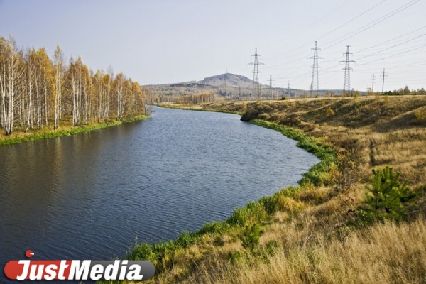 В выходные екатеринбуржцы побегают по лесу и очистят берег Сысертского водохранилища от мусора 