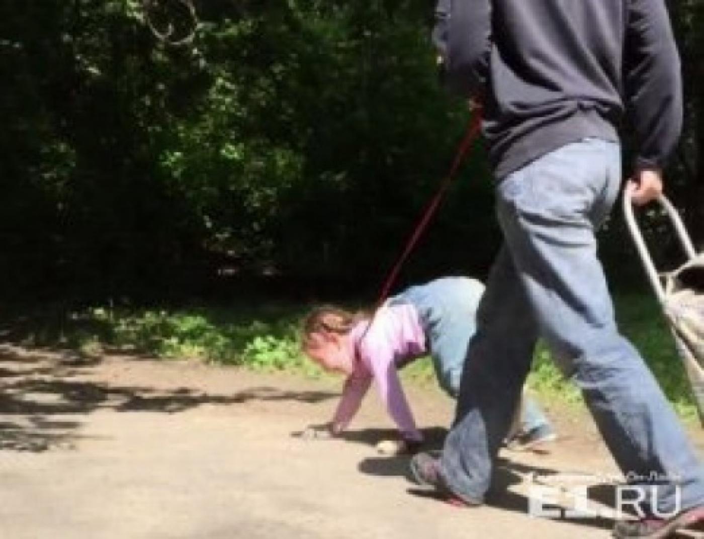 Свердловские следователи закрыли дело по «девочке на поводке» - Фото 1