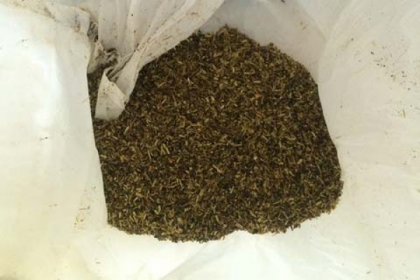 Работники свердловского наркоконтроля раскрыли преступную сеть, занимавшуюся сбытом запрещенных веществ через Интернет