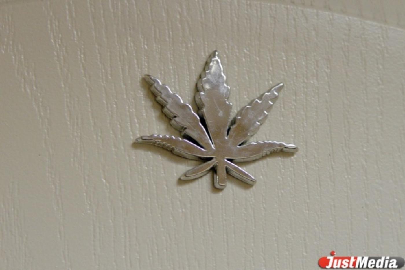 Наркополицейские задержали сборщика конопли - Фото 1