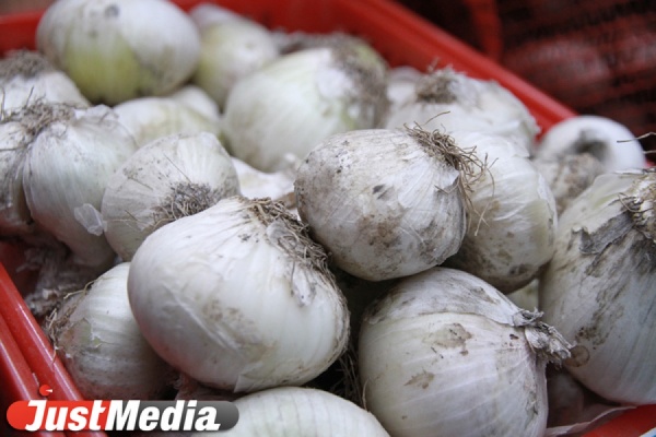 На Симферопольской откроют еще одну сельскохозяйственную ярмарку выходного дня