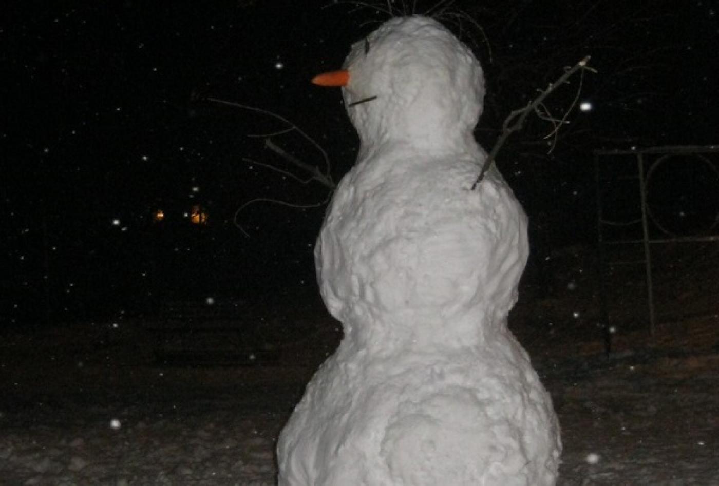 «Ты просто агрессивный м…к». Жители Химмаша злятся на вандалов, ломающих снеговиков - Фото 1