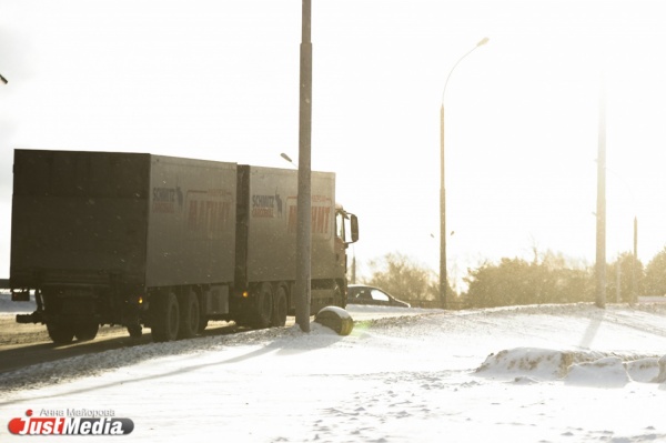 Сергей Шавзис: «Платон» сделает рынок прозрачным, и многие «серые» перевозчики свернут свою деятельность»