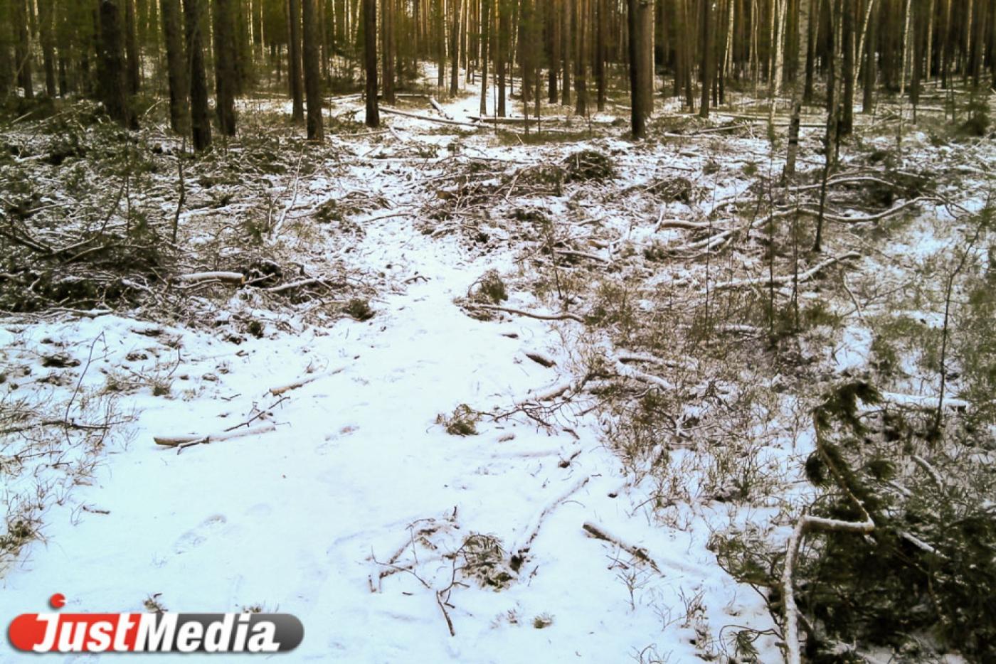 Житель Дегтярска предстанет перед судом за незаконную охоту - Фото 1