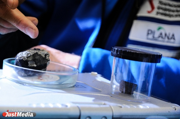 Вершина Гроховского и 30 килограммов находок. Антарктическая метеоритная экспедиция вернулась на Урал