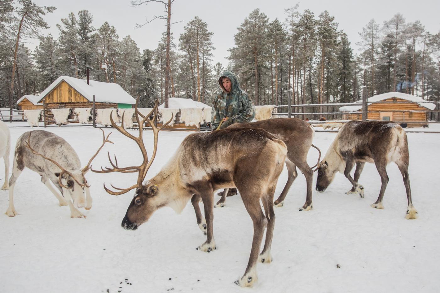 Край, вдохновивший Федорченко на «Ангелов революции», оказался под угрозой - Фото 1