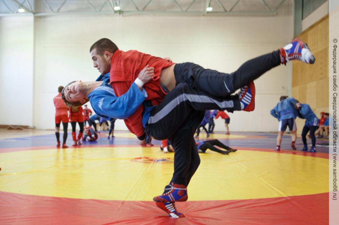 Свердловскую область на чемпионате России по самбо представят сразу 50 человек - Фото 1