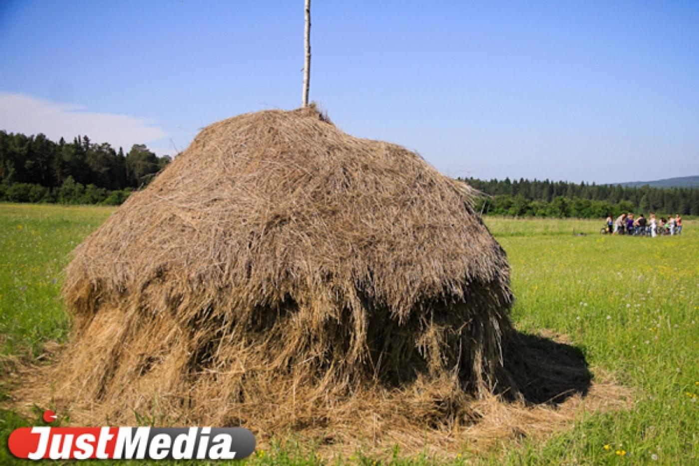 Начинающие уральские фермеры получили господдержку - Фото 1