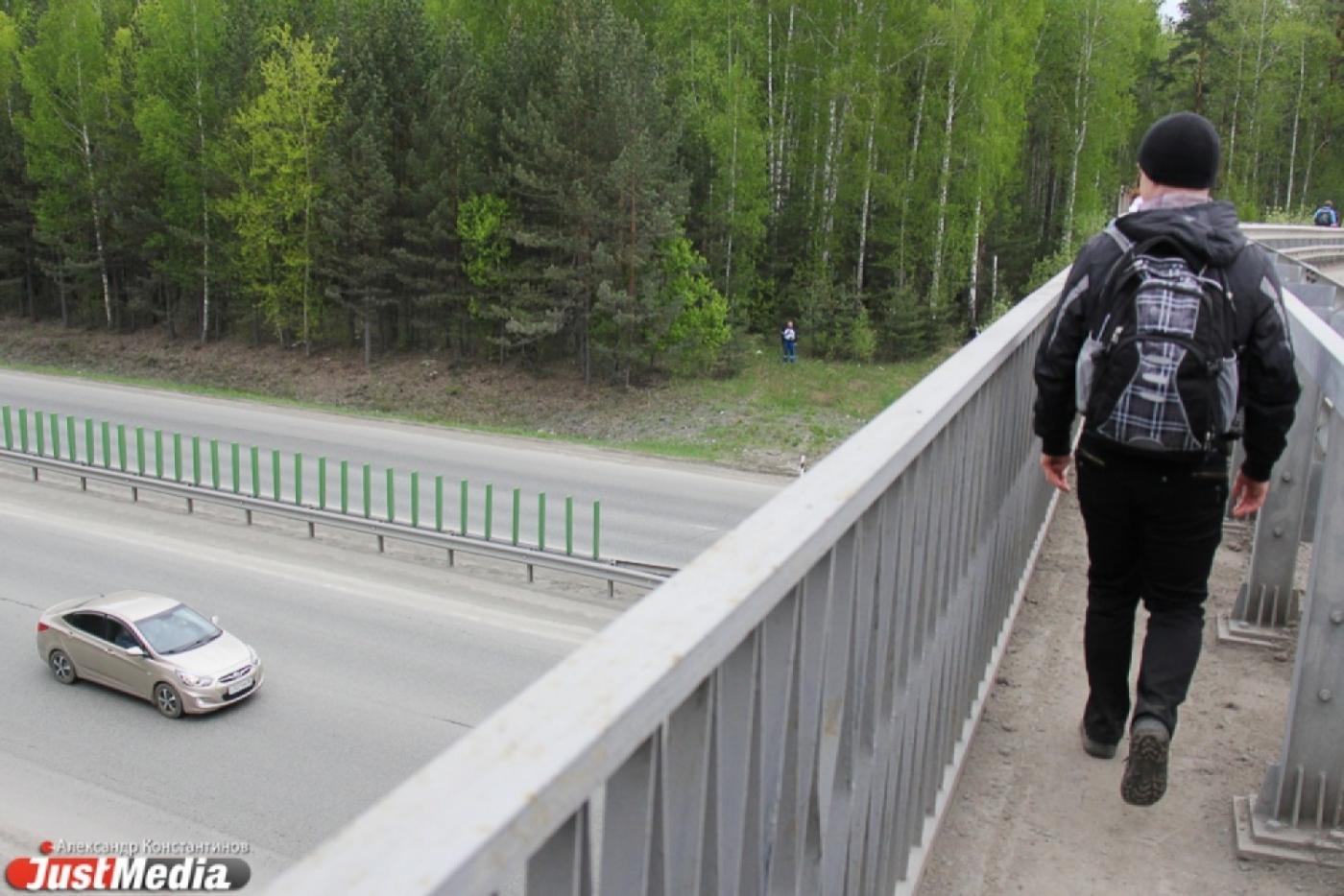 Утвержден маршрут ежегодной пешей «Майской прогулки» - Фото 1