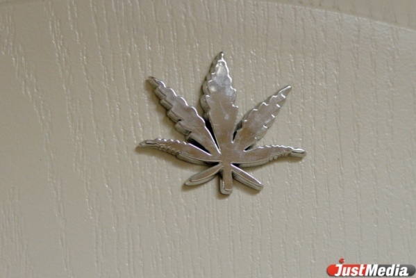 Наркополицейские задержали сборщика конопли - Фото 1