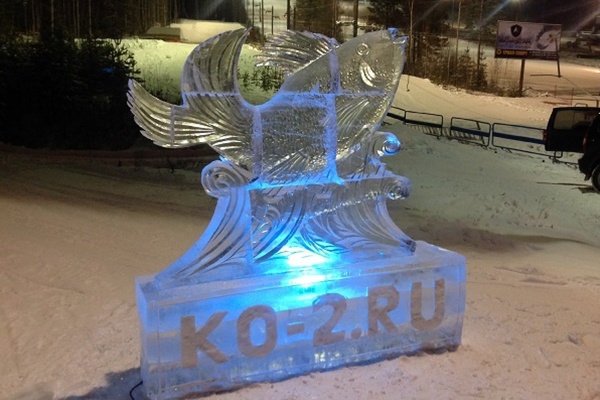 На Волчихе завелся гигантский трехметровый карась - Фото 1