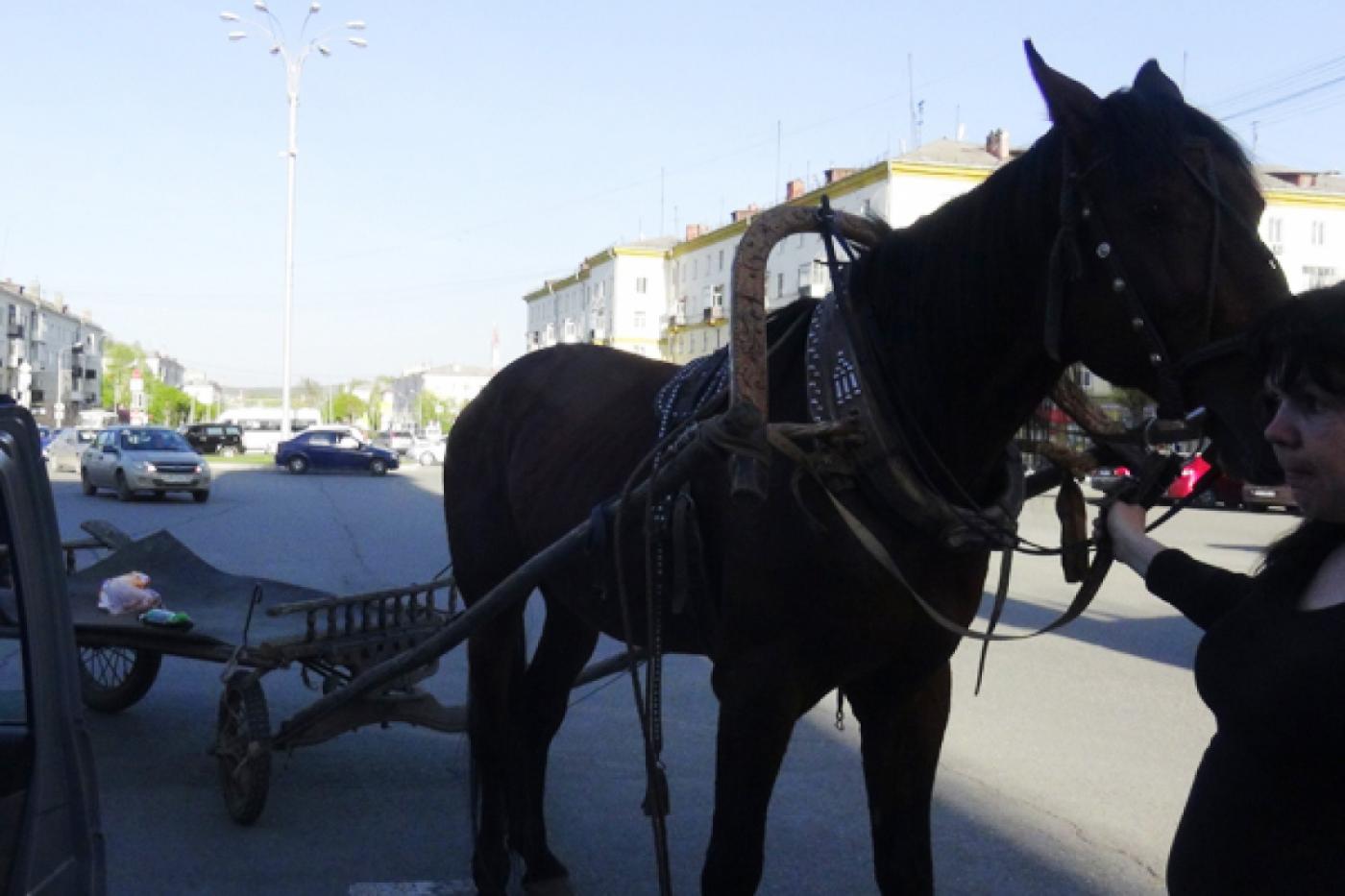 В Первоуральске сотрудники ГИБДД оштрафовали пьяного извозчика - Фото 1