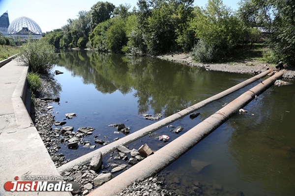 Уткам теперь приходится чаще ходить, чем плавать. В Екатеринбурге почти полностью исчезла главная городская река. ФОТО И ВИДЕО