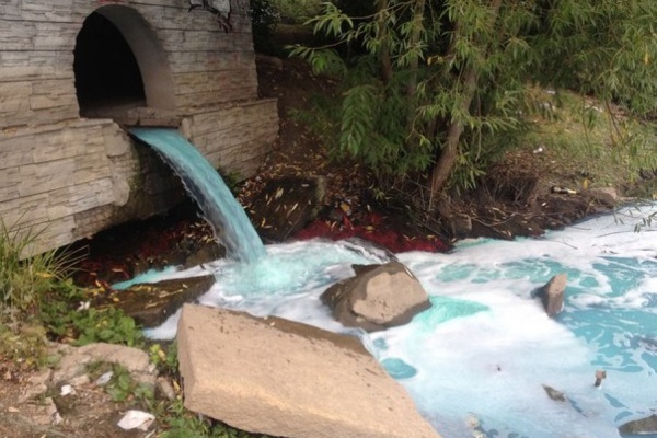 Городской пруд в центре Екатеринбурга стал голубым