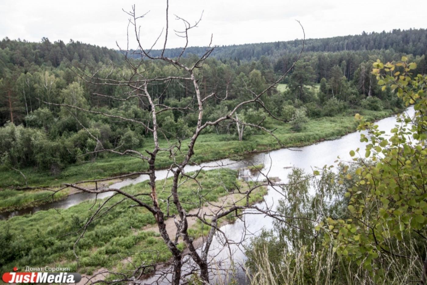 В Верхотурье семилетний мальчик целую ночь плутал по лесу - Фото 1