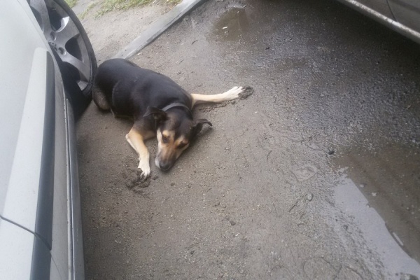 ФОТО: Анна Овчинникова