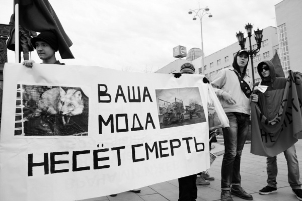 «Лично бы перестреляла всех убийц пушистиков». Зоозащитники Екатеринбурга готовятся к «антимеховому маршу» - Фото 1